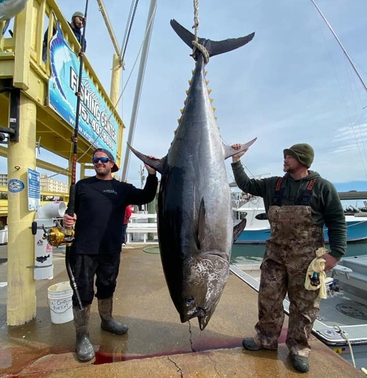 700-lb-bluefin-tuna-virgina-beach.jpg