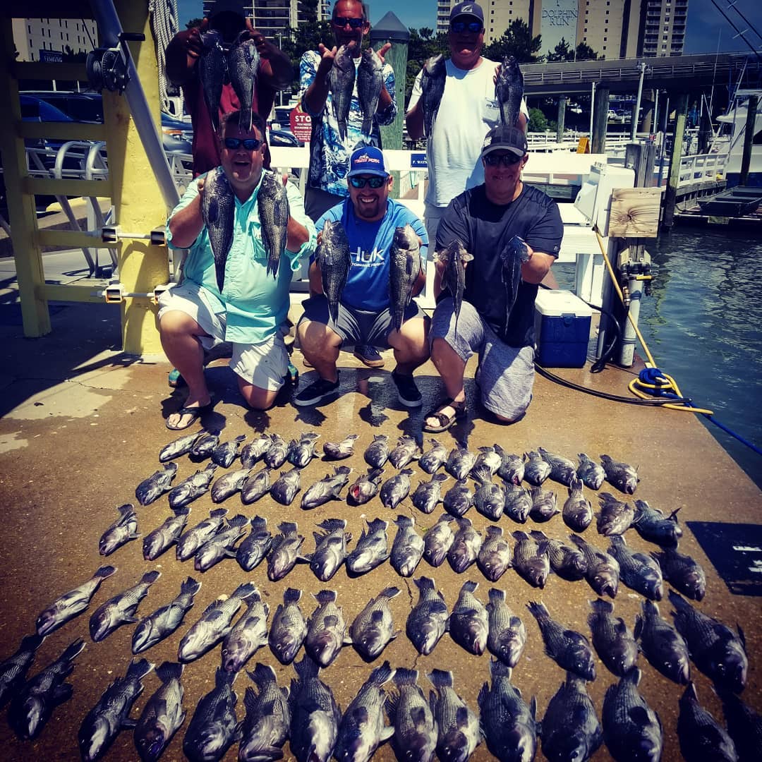 Inshore Fishing Trips, Virginia Beach Fishing Charters