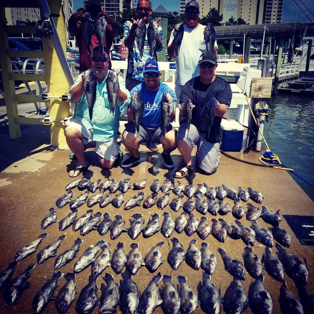 inshore fishing trips