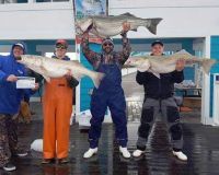 318511198 159174190177674 n