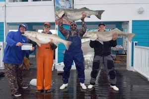 318511198 159174190177674 n