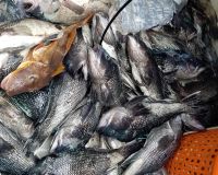 319170761 160218513406575 n