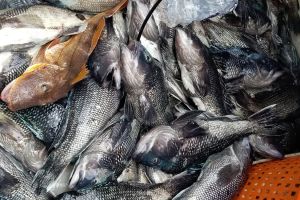 319170761 160218513406575 n