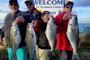 319336701 160592910035802 n