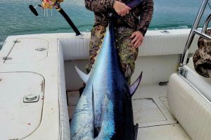 484006697 641562795272142 n