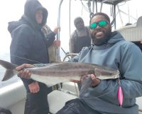 484038659 641562798605475 n