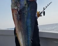 fishing 1 20200829