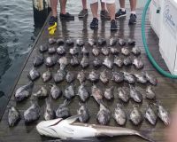 fishing va beach 2 20200919