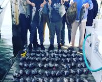va beach wreck fishing 4 20201122