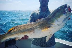 virginia beach fishing 13 20200828