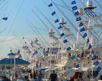 virginia beach fishing 16 20200828