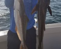 virginia beach fishing 21 20200828