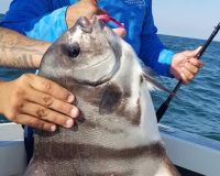 virginia beach fishing 22 20200828