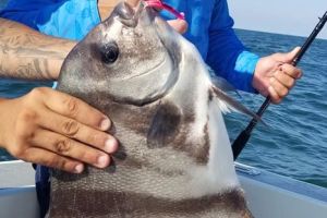 virginia beach fishing 22 20200828