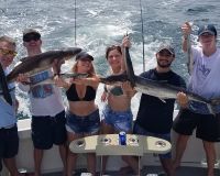 virginia beach fishing 24 20200828