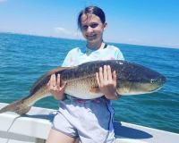 virginia beach fishing 26 20200828