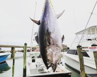 virginia beach fishing 4 20200828